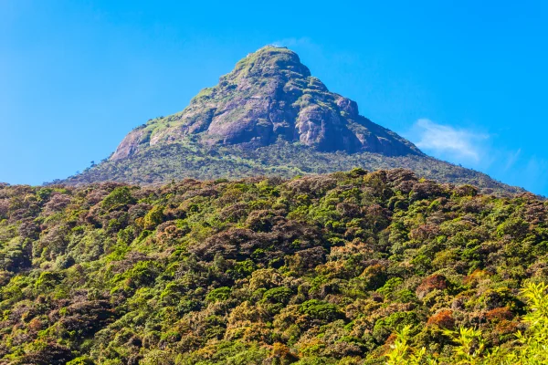 Adam's Peak (Sri Pada)