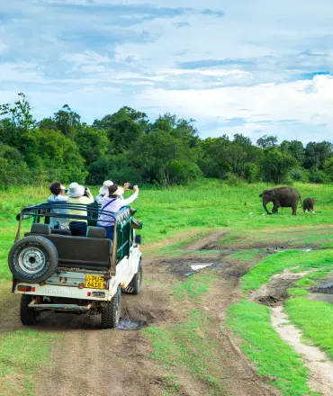 Family is touring In sri lanka