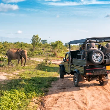 National Parks in Sri Lanka